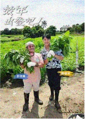 间谍过家家 免费看大片